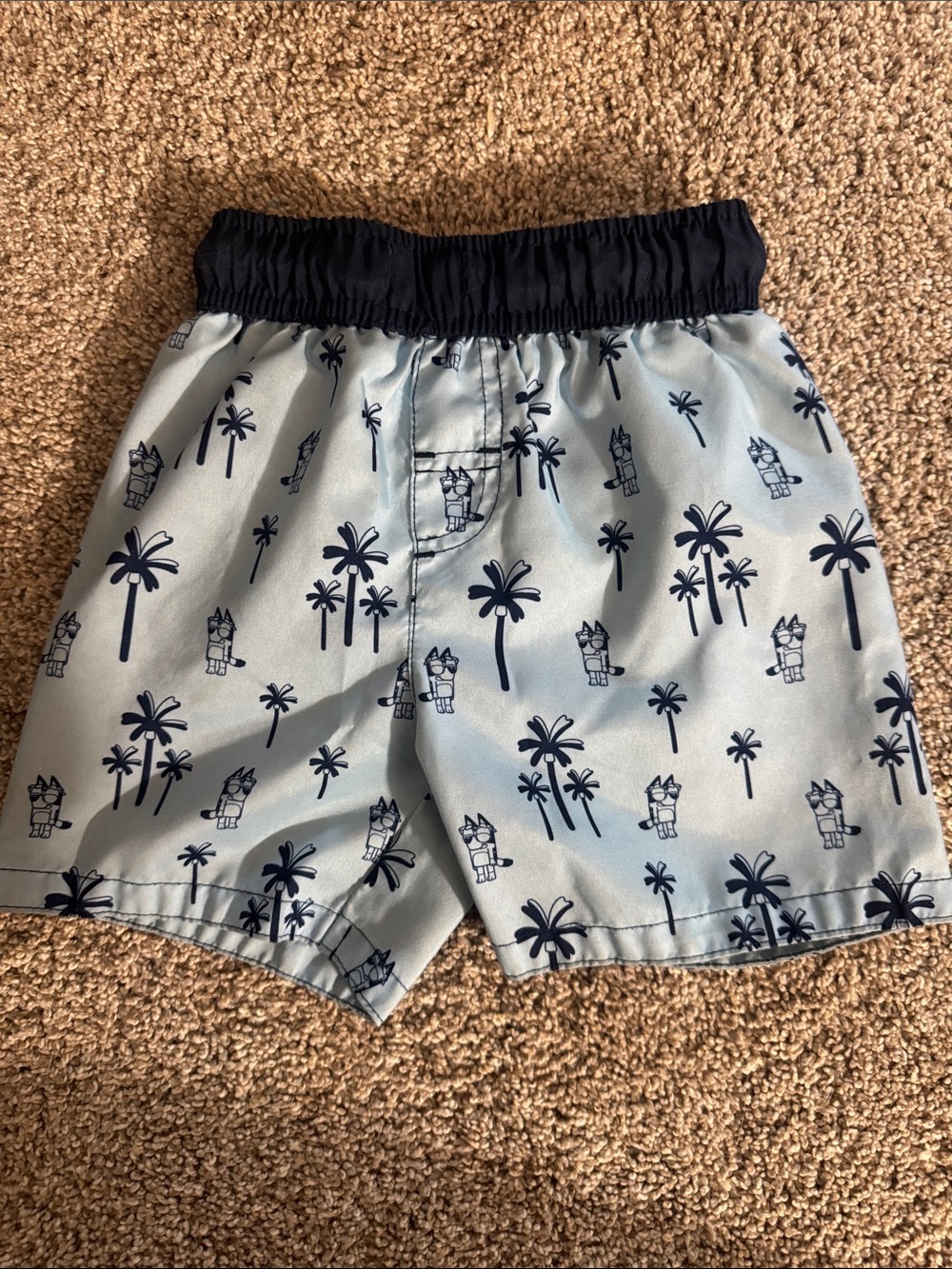 OshKosh B'gosh Light Blue Swim Trunks with Navy Palm Print